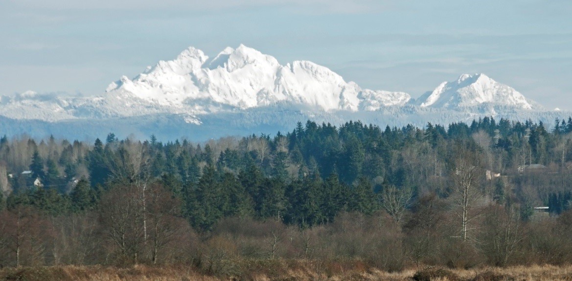 3Fingers behind Marysville Windermere Real Estate Marysville